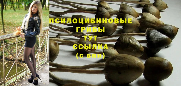 таблы Алзамай