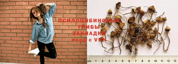 таблы Алзамай